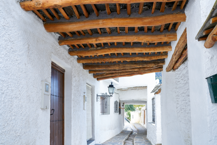 la alpujarra Tinaos