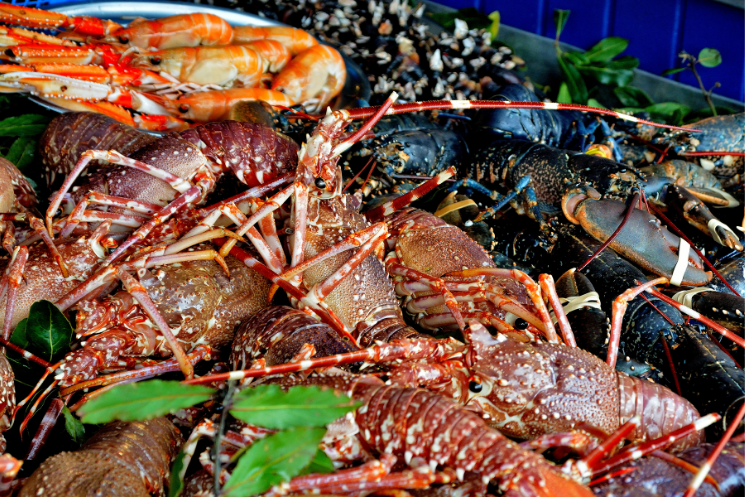 gastronomía navidena