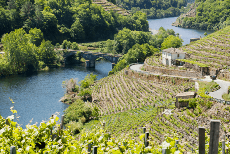 ribeira sacra