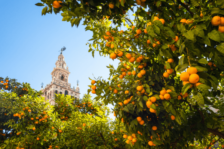 sevilla