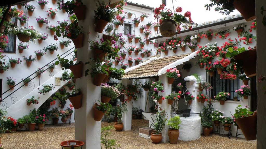 patio cordobés
