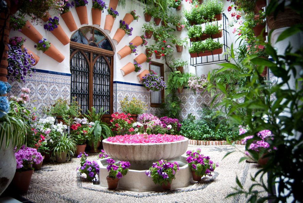patio cordobés
