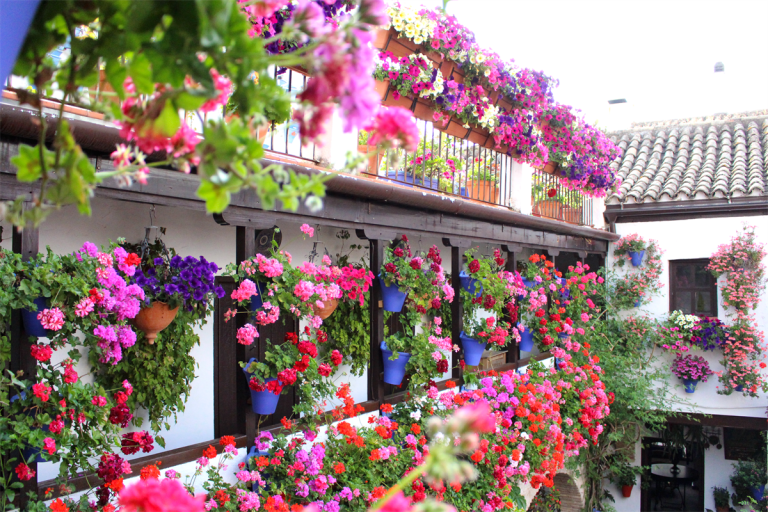 patiosdecordoba